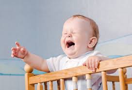 6 MESES DE PRISIÓN POR IRSE DE FIESTA…