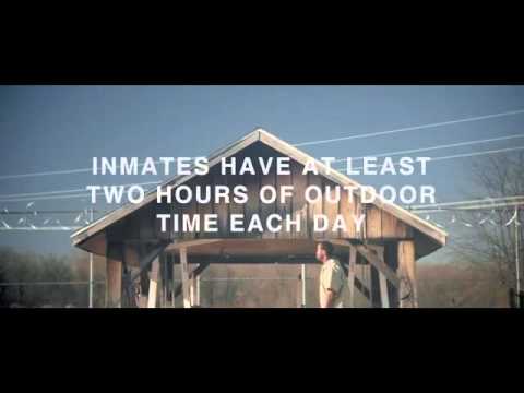 LOS NIÑOS DISFRUTAN MENOS TIEMPO AL AIRE LIBRE QUE LOS PRESOS (opción de subtitulos)